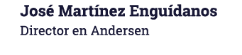 José Martínez Enguídanos Director en Andersen