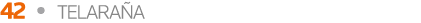 42   TELARAÑA