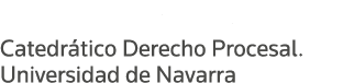 Julio J  Muerza Esparza Catedrático Derecho Procesal  Universidad de Navarra