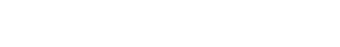 STS 1 166 2021