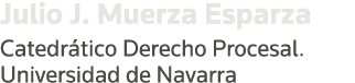 Julio J  Muerza Esparza Catedrático Derecho Procesal  Universidad de Navarra