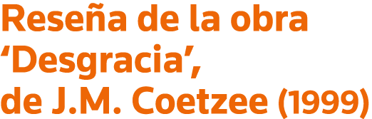 4Reseña de la obra  Desgracia ,    