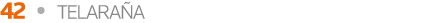 42   TELARAÑA