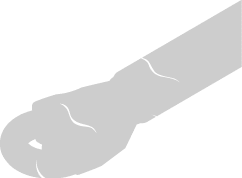 Polygon