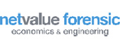 Perspectivas de inversión y nueva normativa financiera para 2017 Netvalue Forensic