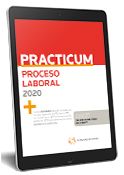 Practicum Proceso Laboral 2020