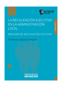 La recaudación ejecutiva en la Administración Local