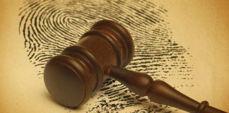 El abogado penalista y los límites de su libertad de expresión