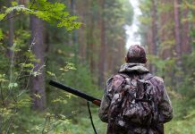 La Audiencia de Ávila absuelve a dos cazadores condenados por matar a un lobo