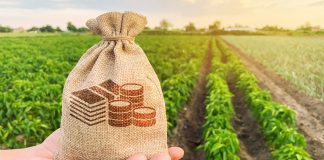 Impuesto sobre el Incremento de Valor de los Terrenos de Naturaleza Urbana y la STC de 26 de octubre de 2021
