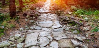 Camino sin piedras, no es camino