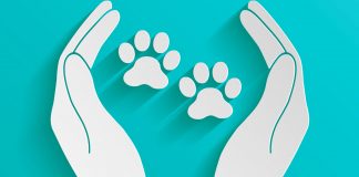 El aumento penológico anteproyectado en materia de protección de los animales