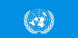 ¿Puede la ONU liderar la fiscalidad internacional en detrimento de la OCDE?