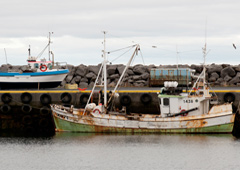 Barco pesquero