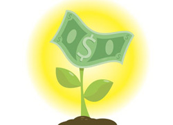 Una planta de dinero que va creciendo.