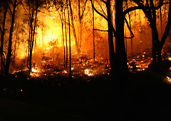 Incendio