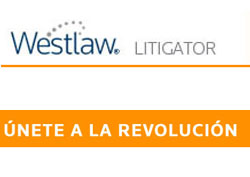 Pantallazo de acceso a Litigator