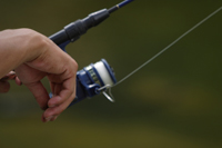 La Agencia Tributaria, de pesca truchera
