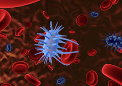 Componentes de la sangre.