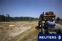 Un régimen especial simplificado del IVA para 2009. Tractor en el campo
