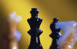 Prepara tu estrategia Prepara tu estrategia futuro abogado