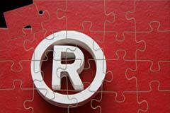 La imagen de marca Puzzle del logo marca registrada
