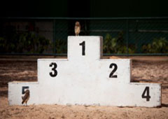 Un podio con un pájaro en el nº 1.