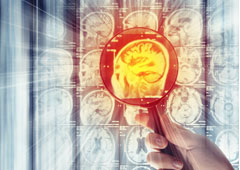 Cerebro ampliado con una lupa