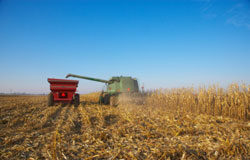 El procedimiento por precario: una simplicidad sólo aparente Un tractor trabajando en una finca.