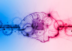Cerebro