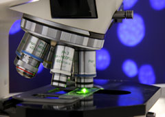Un microscopio.