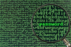 Derecho a la Protección de Datos: ¿es Real? Una pantalla donde aparecen un montón de palabras de color verde y también se puede leer la palabra 'password'