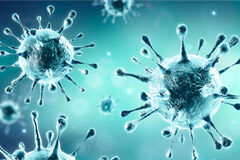 ¿Quién va a pagar los platos rotos? Coronavirus