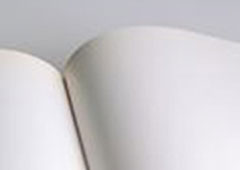 Libro blanco
