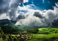 Paisaje selva