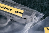 El Pre-Trial Discovery of documents en los litigios internacionales