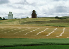 Terreno