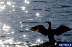 La Secuelas del Exxon-Valdez